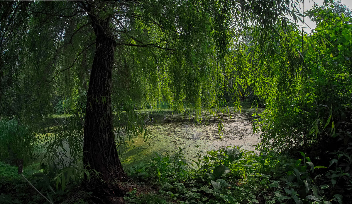 ***** - юрий поляков