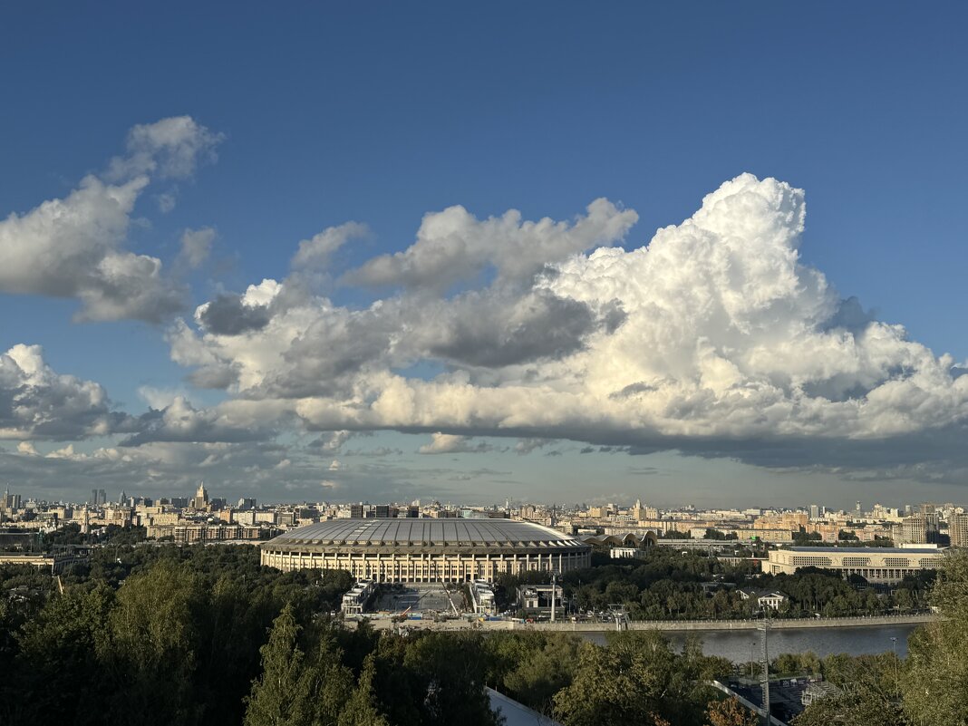 Над городом - Анна Камс