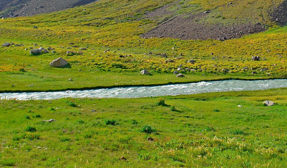 ПРИТОК ОЙГАИНГА. h- 2600м. - Виктор Осипчук