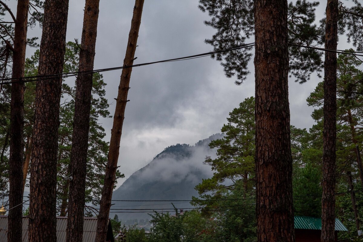 Однодневная поездка в Чемал - Валерий Михмель 