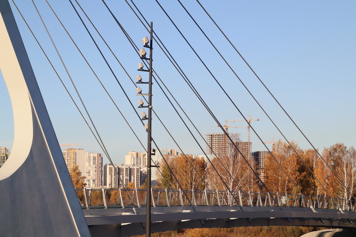 Новый мост - Дмитрий Петров