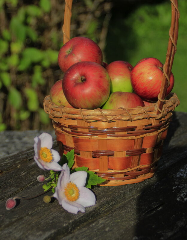 Лукошко  :) - Татьян@ Ивановна