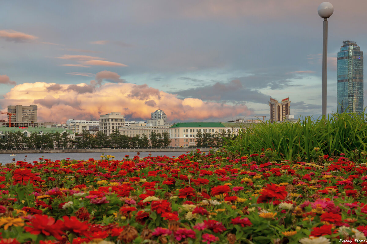 Август в городе Е - Евгений Тарасов 