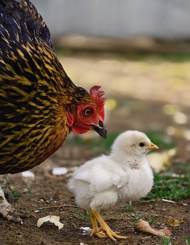 ** - Борис Руднев