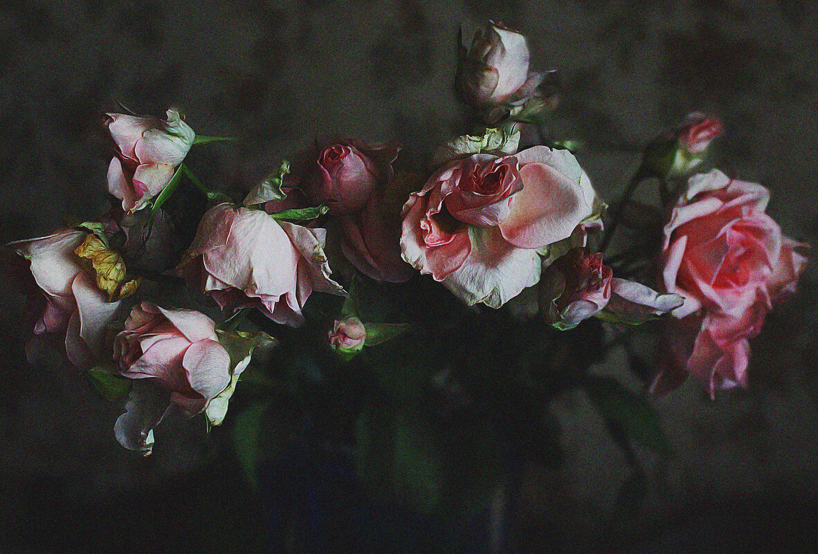 . - РИТА ЛЕВКОВА