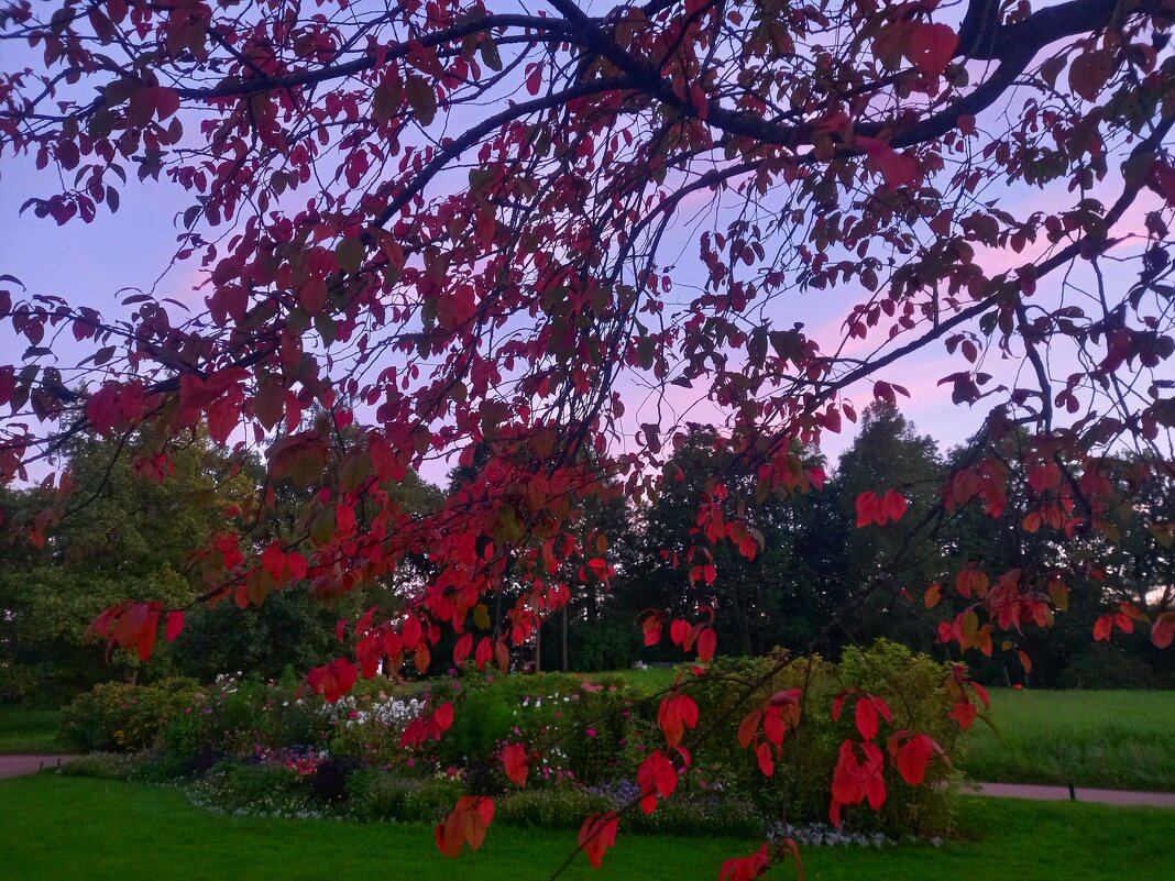 Осенний закат - Сапсан 