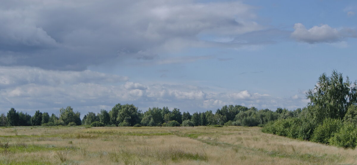 Вечерний пейзаж августа. - сергей ермошкин