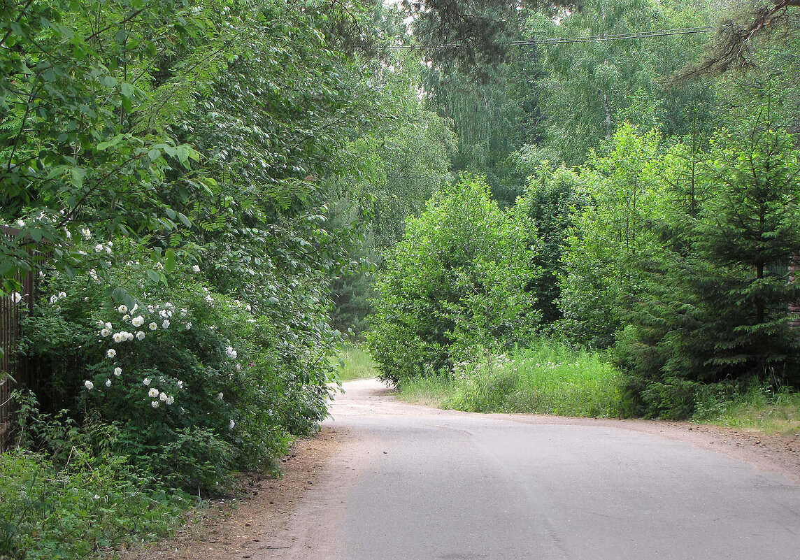 В поселке Манола - Александр Ильчевский 