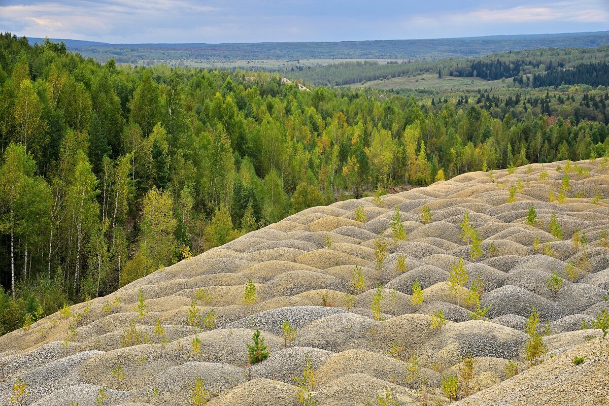 - - Владимир Мигонькин