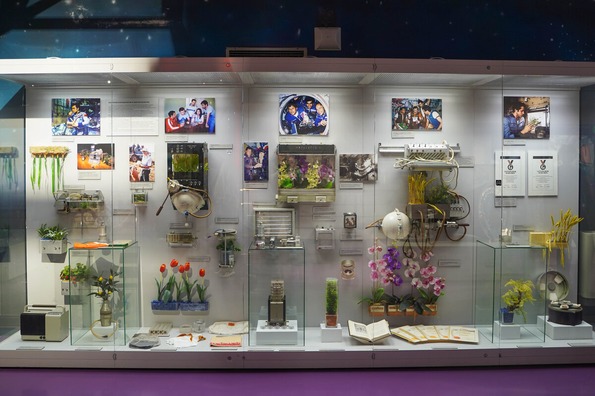 МУЗЕЙ_КОСМОНАВТИКИ_14_08_25 (105) - Сергей Янович Микк