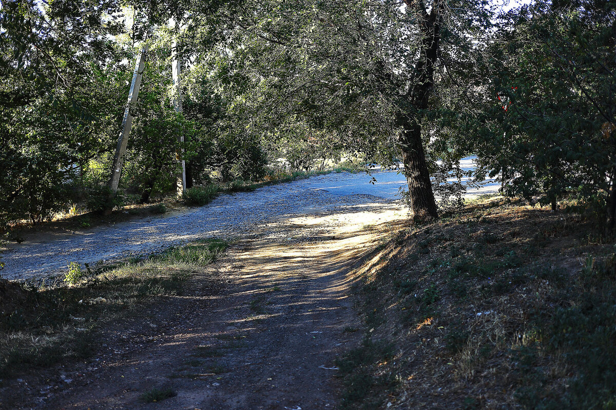 Свет и тень - Юрий Гайворонскiий
