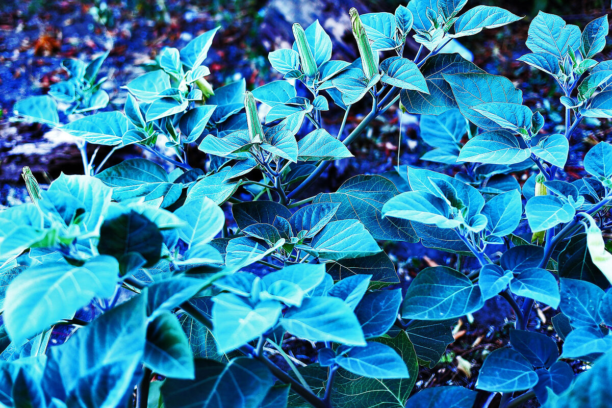 На улице - Юрий Гайворонскiий На улице - Юрий Гайворонскiий