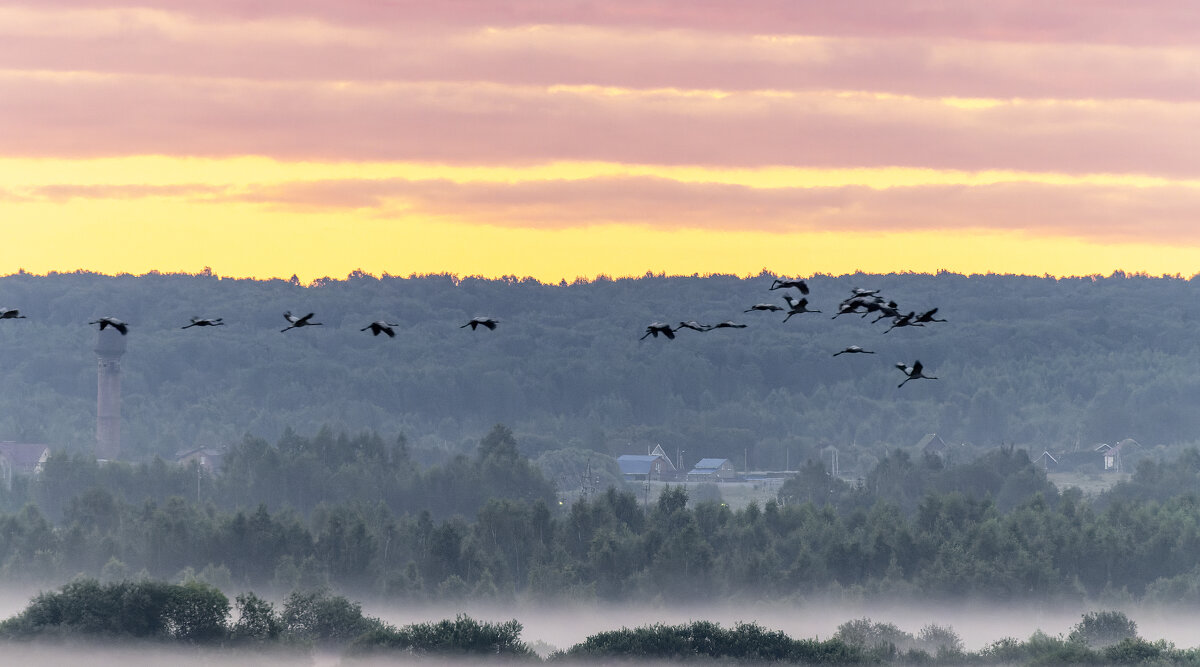 пейзаж с журавлями - юрий макаров пейзаж с журавлями - юрий макаров