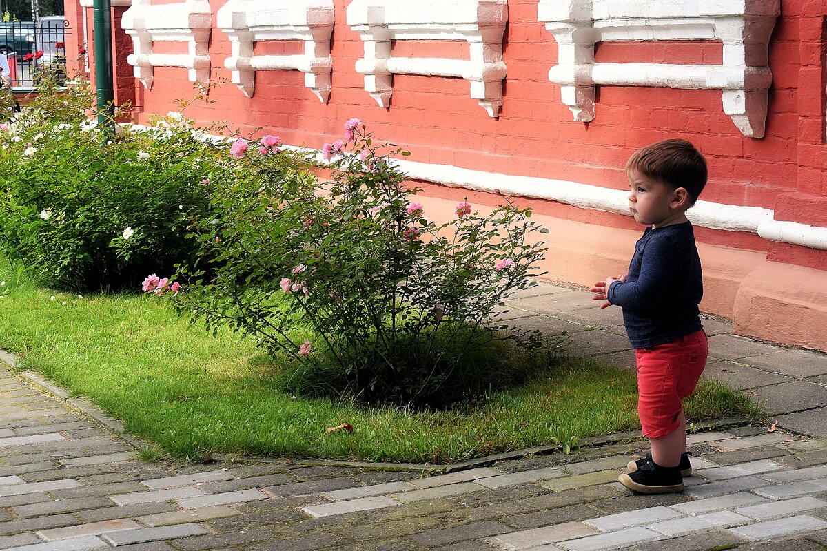 Не до игр, сестрёнку потерял. - Татьяна Помогалова Не до игр, сестрёнку потерял. - Татьяна Помогалова