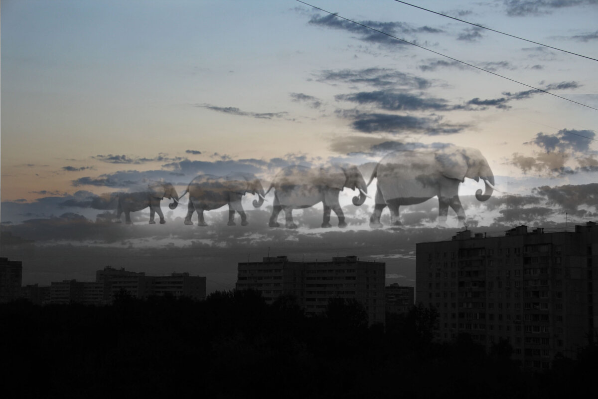 . - РИТА ЛЕВКОВА