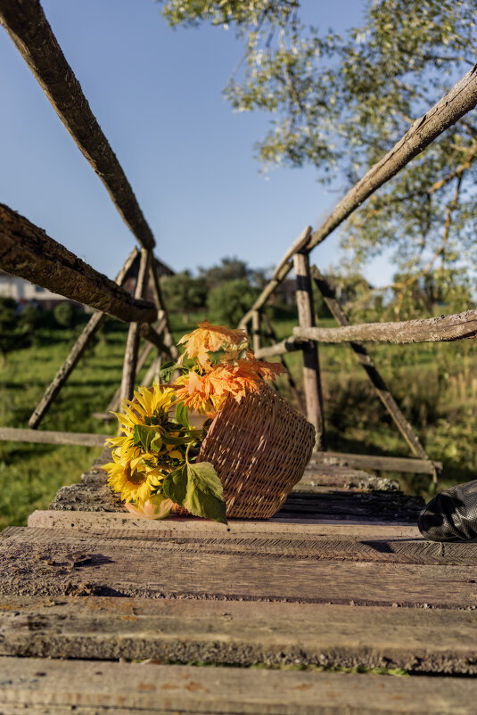 Упала - sorovey Sol