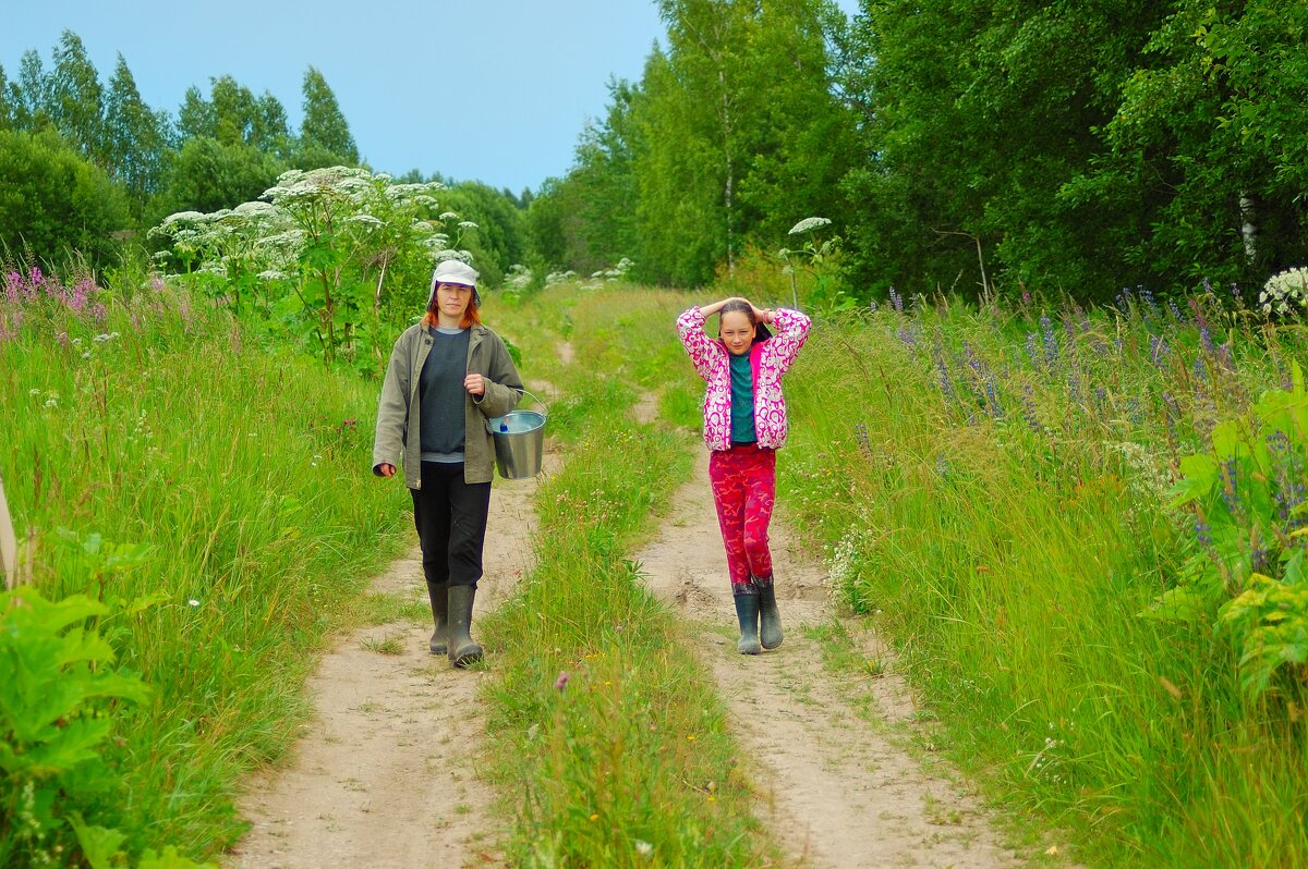 По ягоды - Роман Д