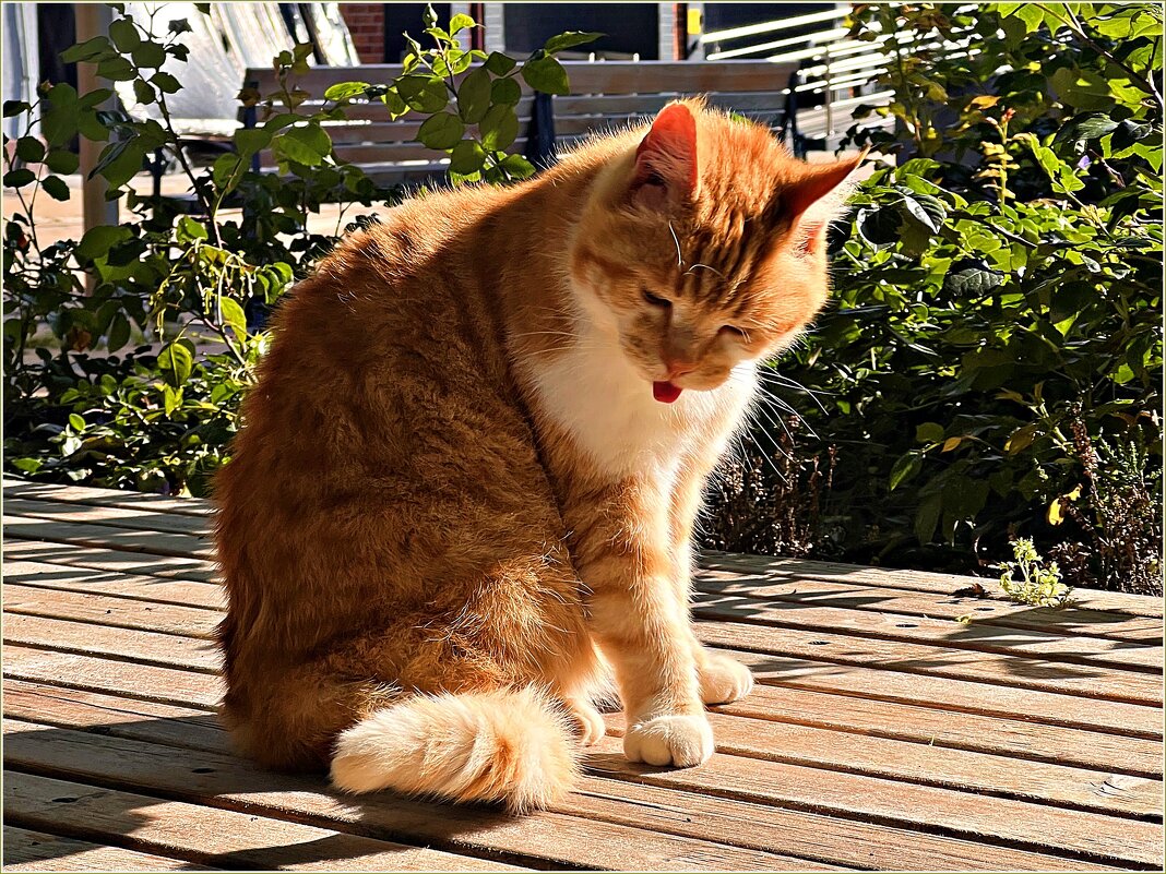 Чистота - залог здоровья!:) - Валерия Комова