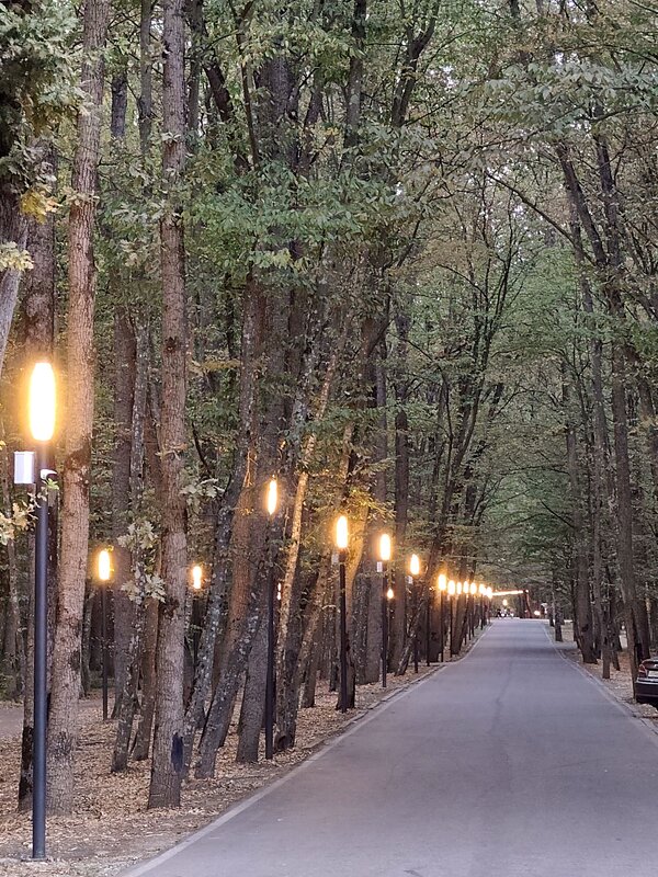 Небольшие сюжеты из прогулки...Дорога к ресторану - tatyana 