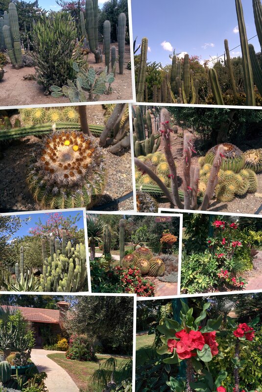 " - Светлана Хращевская