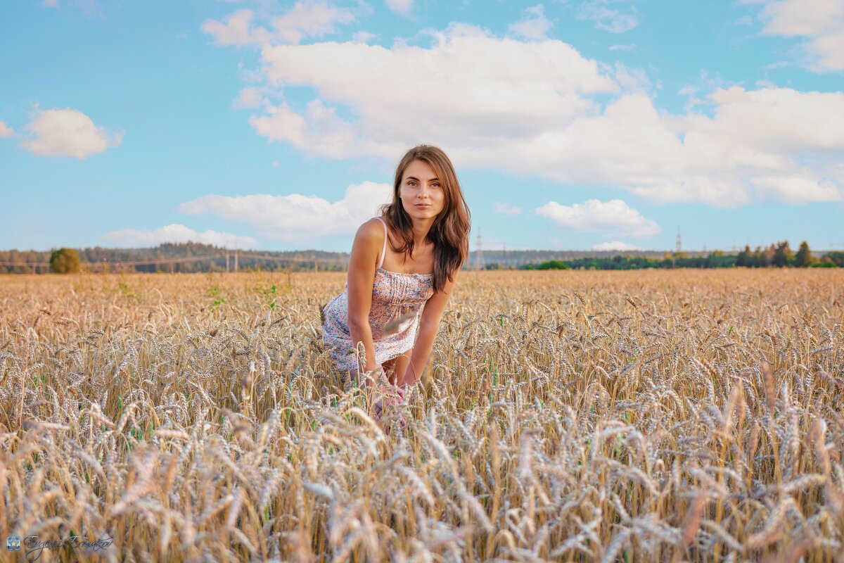 Что хошь? - Евгений Ермаков Что хошь? - Евгений Ермаков