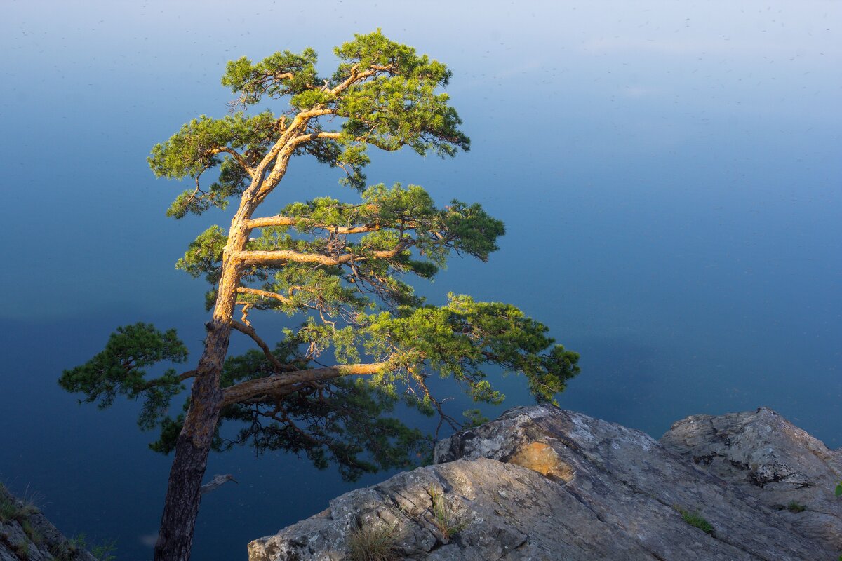 На берегу озера Тургояк. - Алексей Трухин
