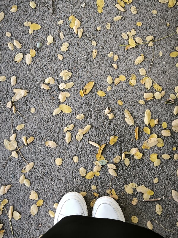 дорога в осень... - Oksana Verkhoglyad