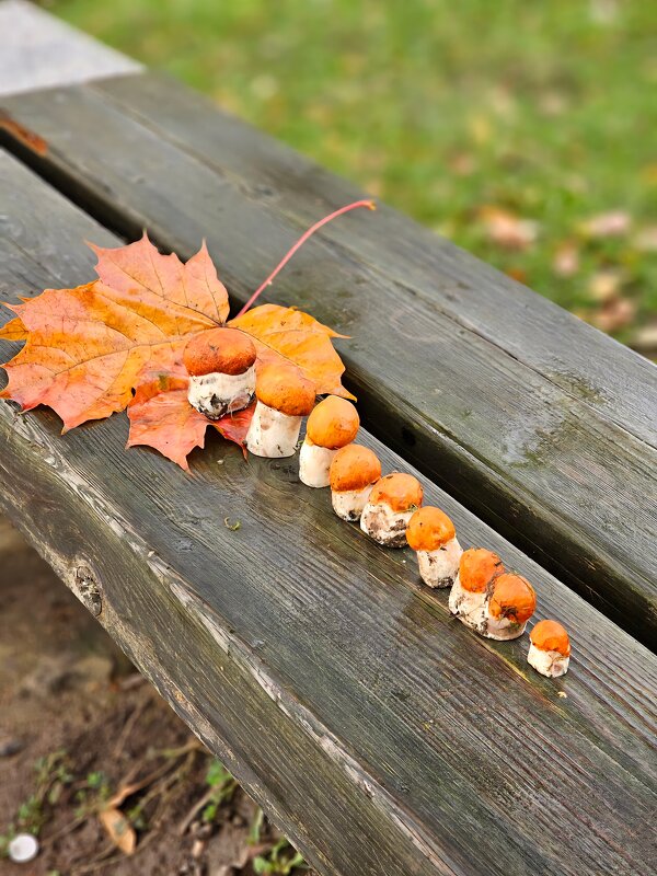 Дары осени. - Галина Левина
