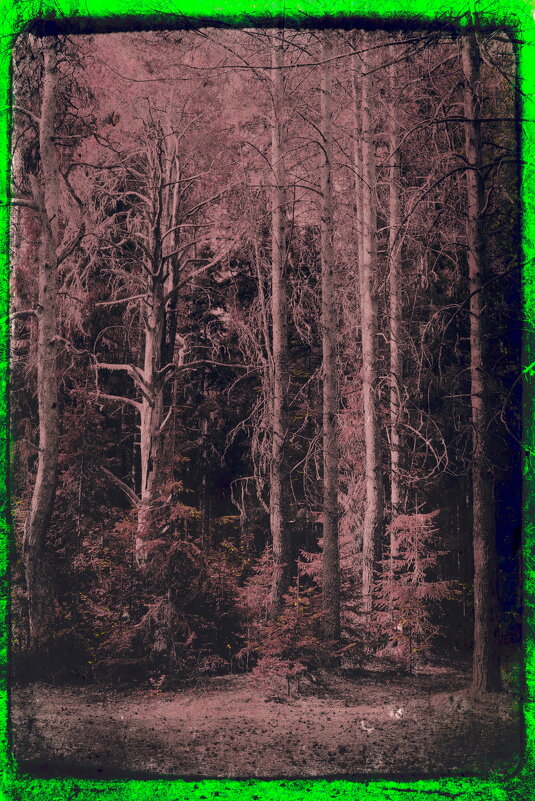 Назва. отсу. - Денис Безногов