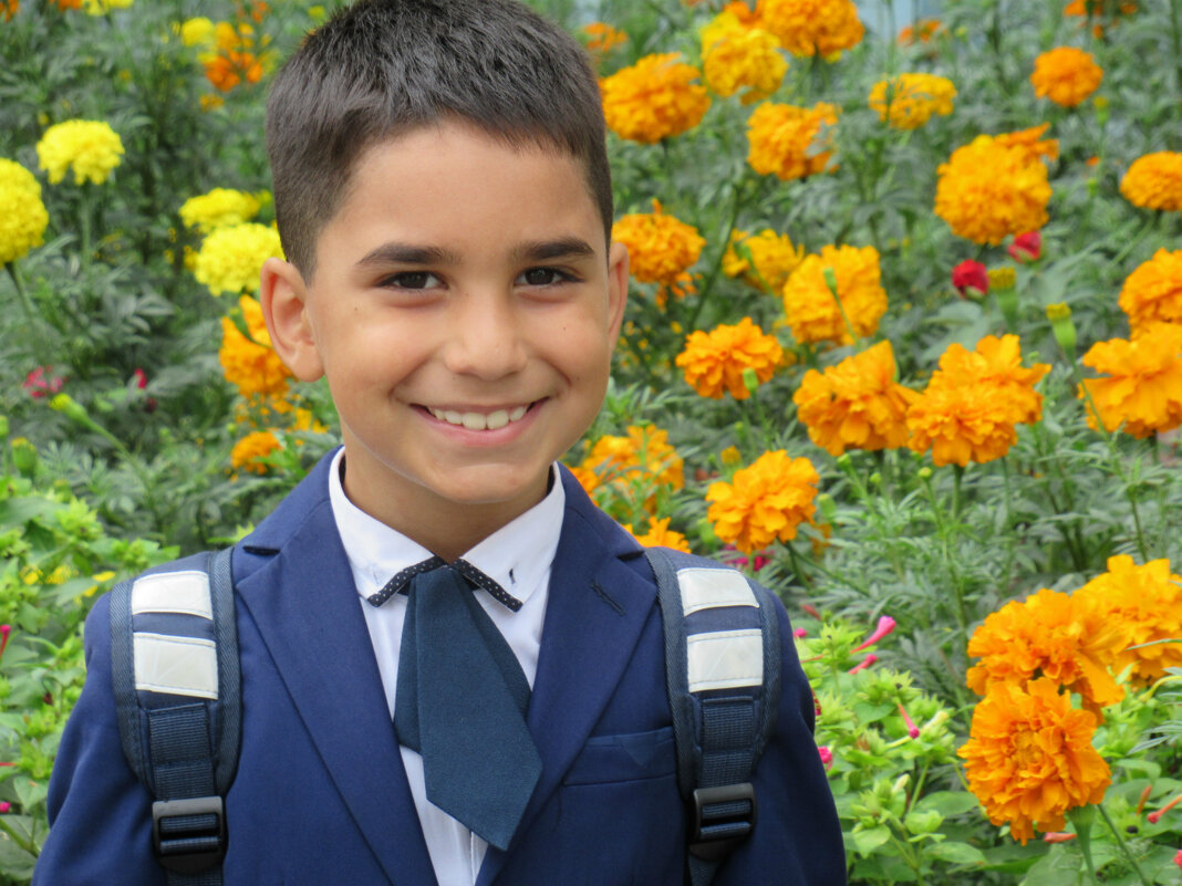 Хочу в школу... - Татьяна Львова