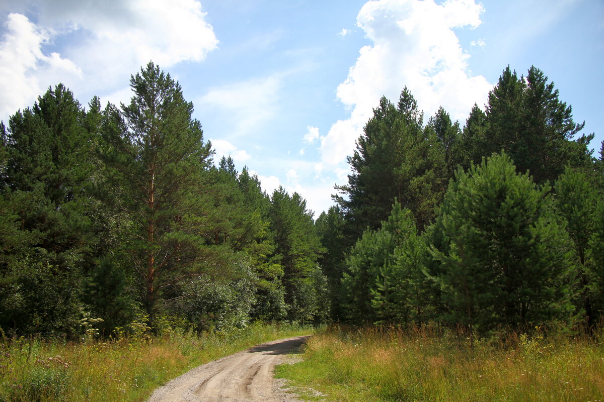 дорога - Андрей Катков
