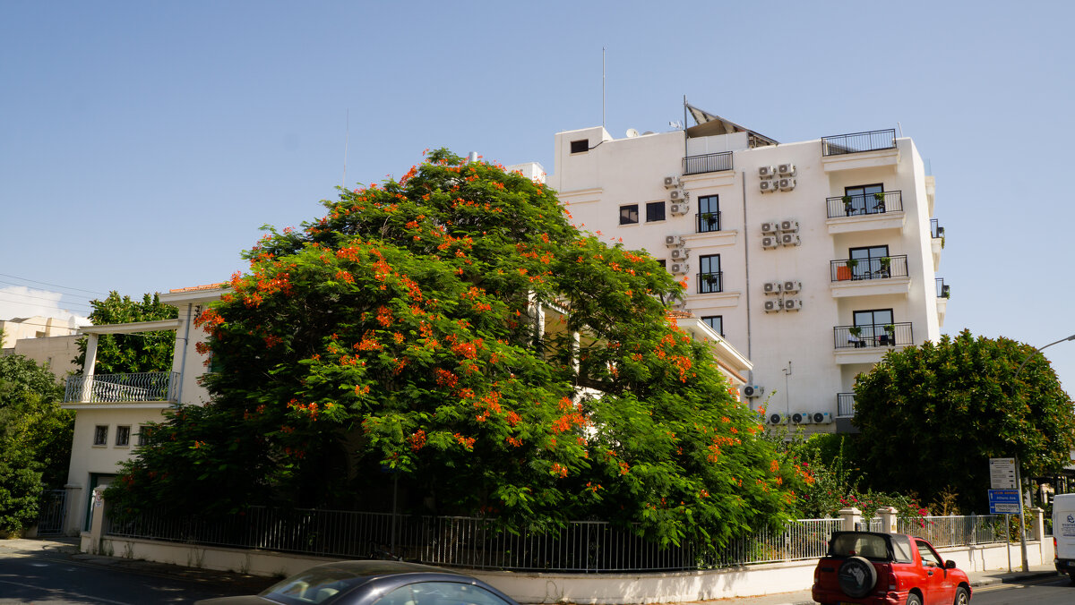 Кипр. Ларнака - Андрей 