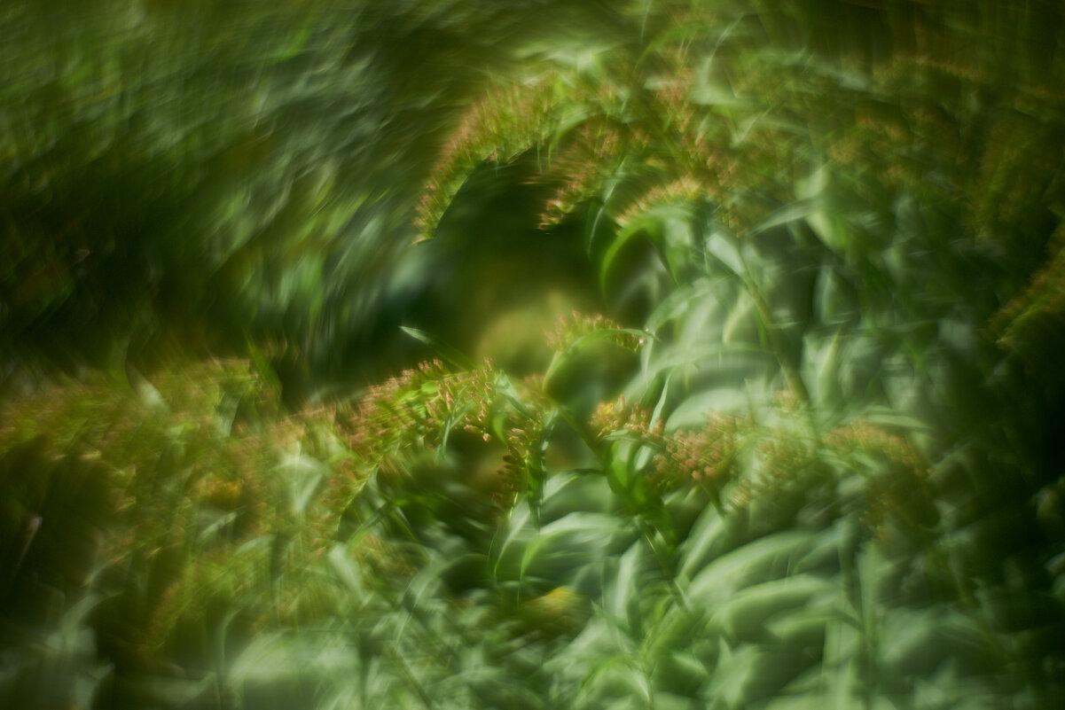 одним словом осень - Александр Леонов