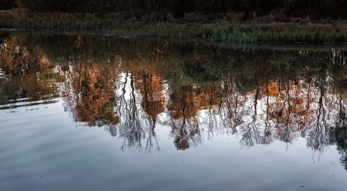 Вечер у Покрова на Нерли - Вячеслав Владимирович