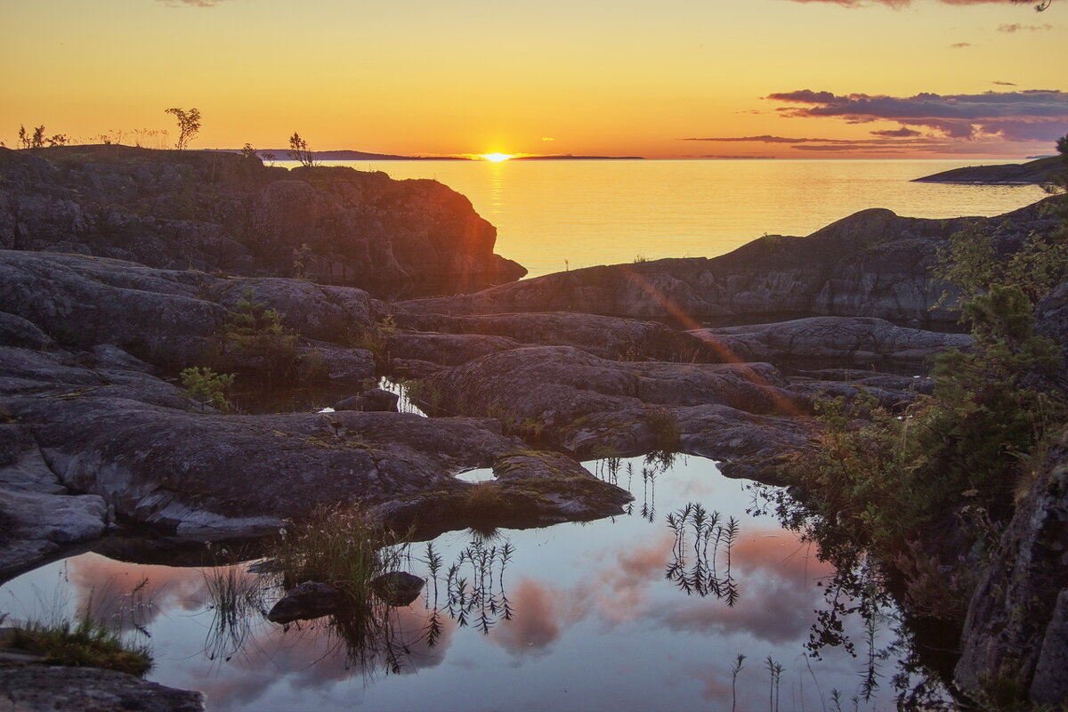 *** - Сергей  Могутов 