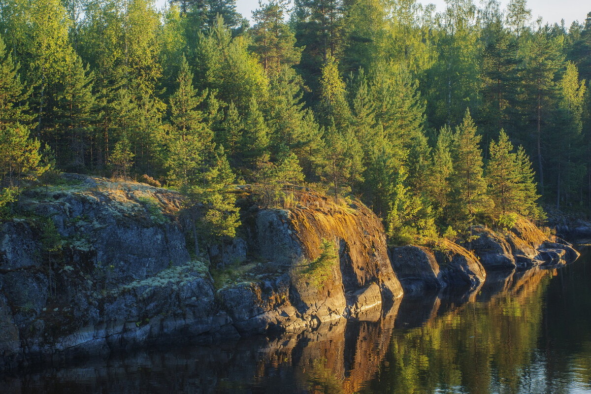 *** - Сергей  Могутов 