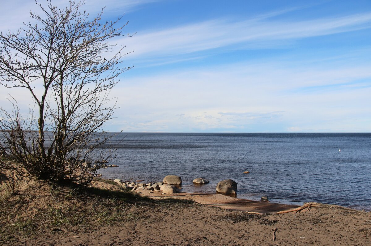 Ладожское Озеро - Наталья Герасимова Ладожское Озеро - Наталья Герасимова