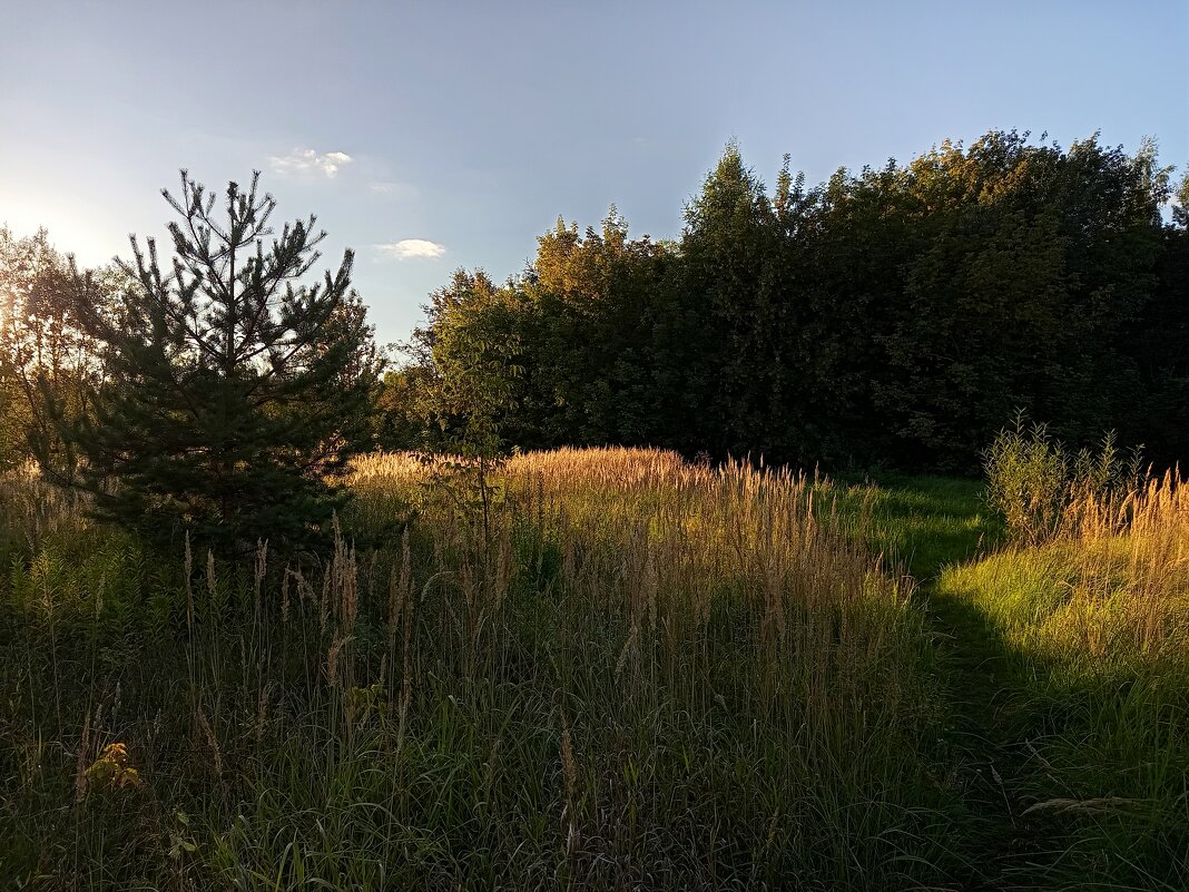 Приближается Бабье лето - Андрей Лукьянов Приближается Бабье лето - Андрей Лукьянов