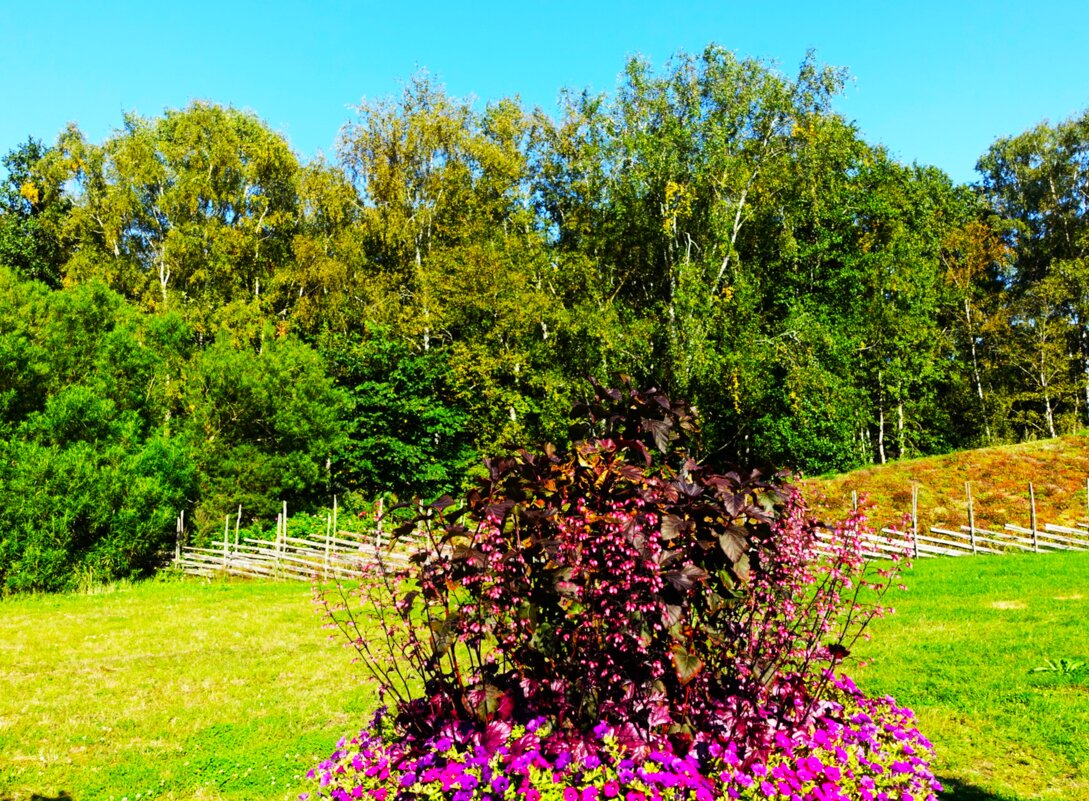 Робкое наступление осени.. - Aida10 