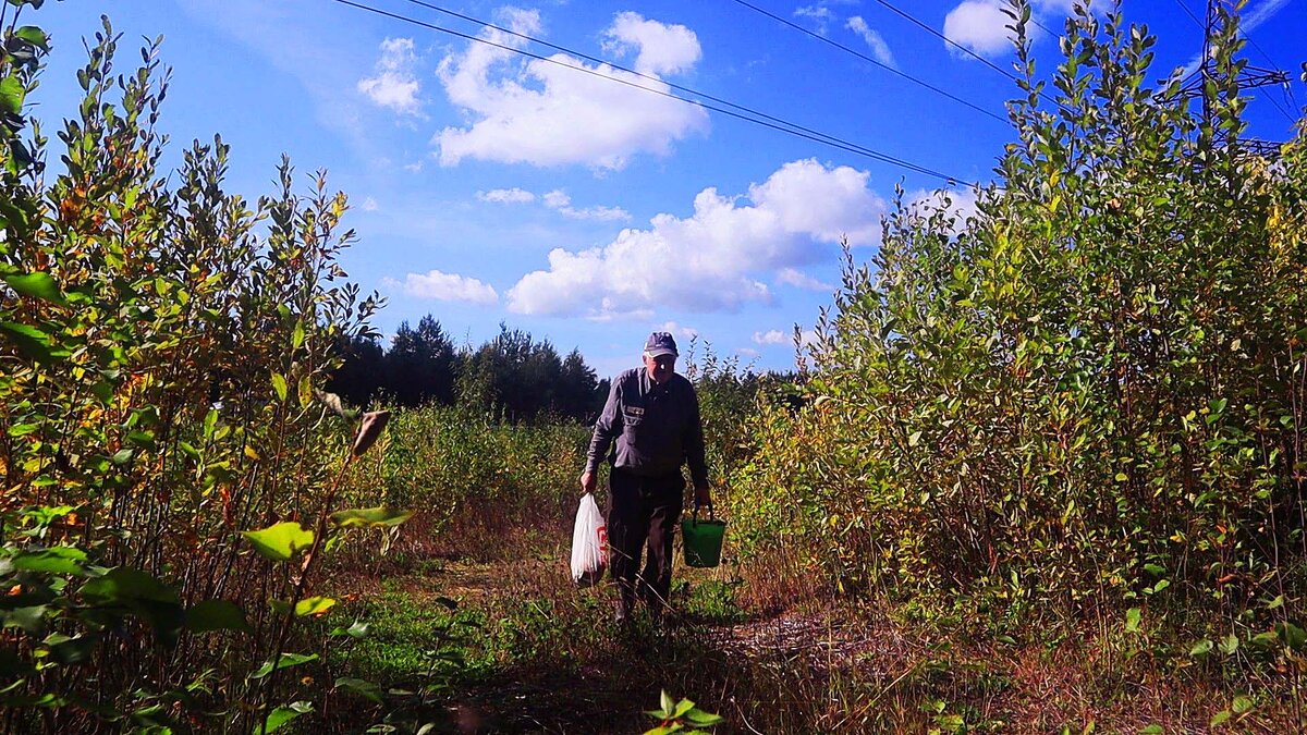 Сентябрь...С грибами на Оленьем острове! - Владимир 