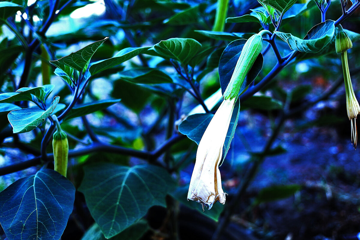 На солнышке - Юрий Гайворонскiий