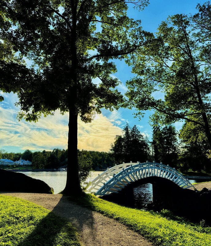 Мостик в китайском стиле - Сергей Б.