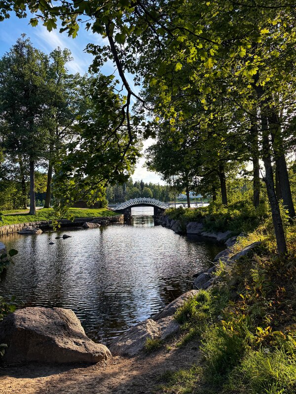 В парке - Сергей Б.