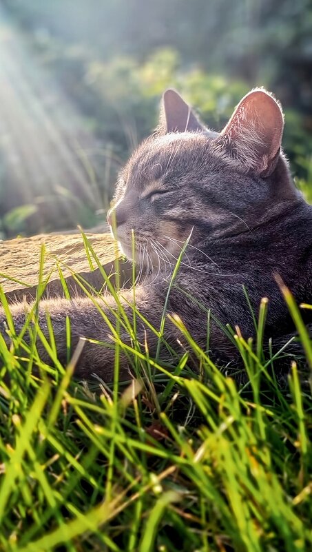 * - Оксана Н.