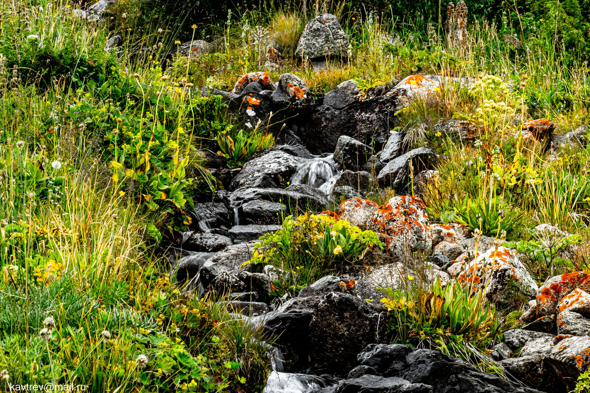 2 - HART BAD 2 - HART BAD