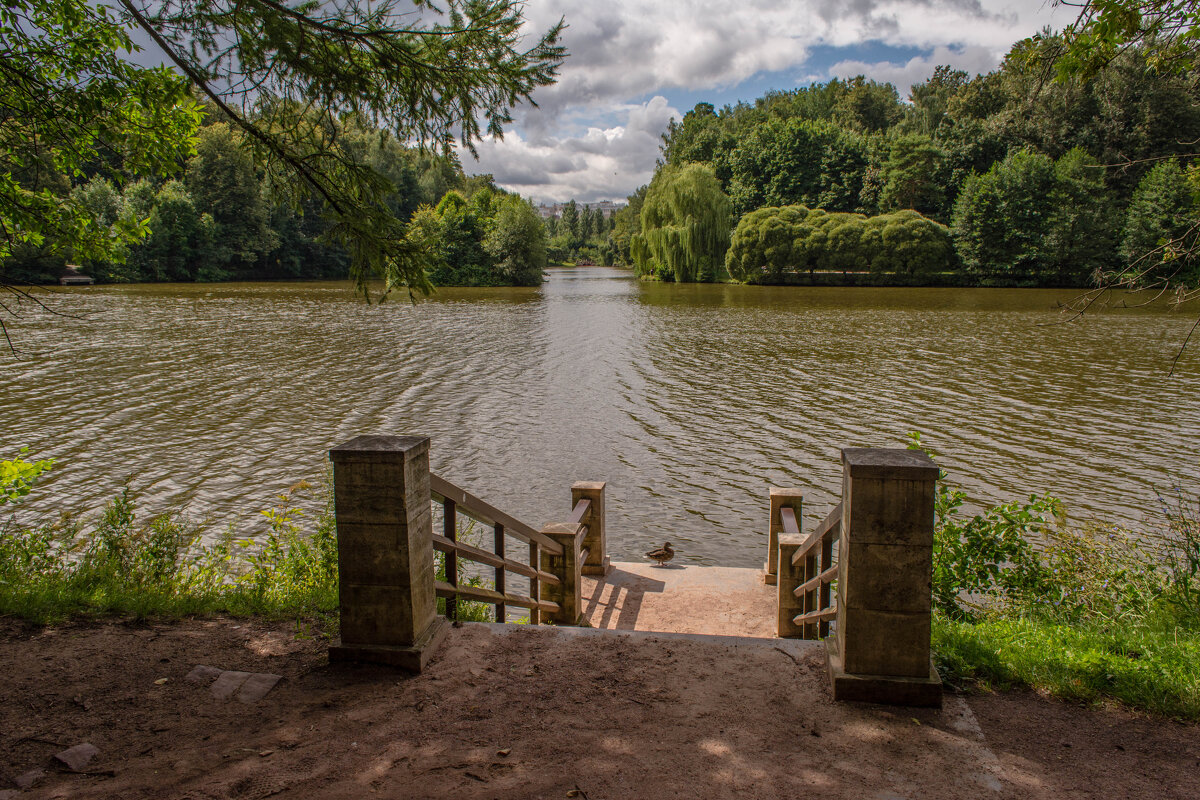 В Царицыно. Просто так - Владимир Жуков