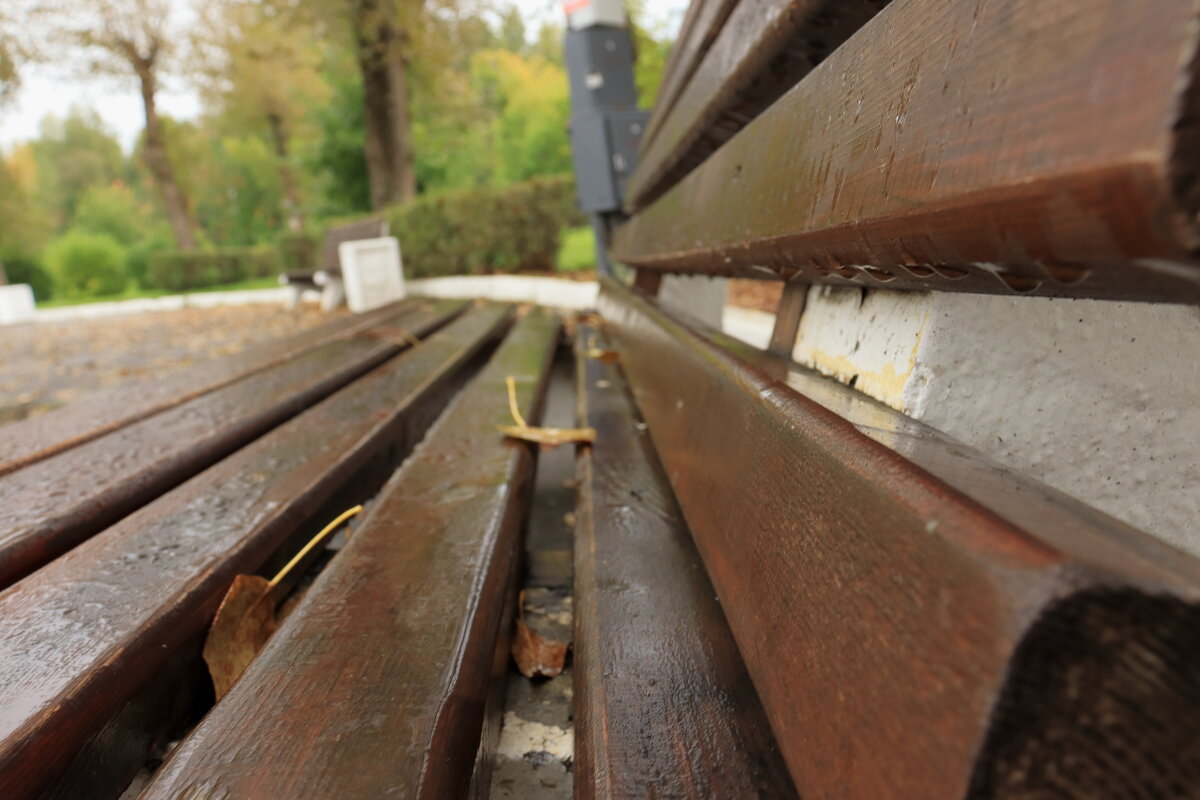 Сентябрь. Дождь. Осень. - Александр Николаев