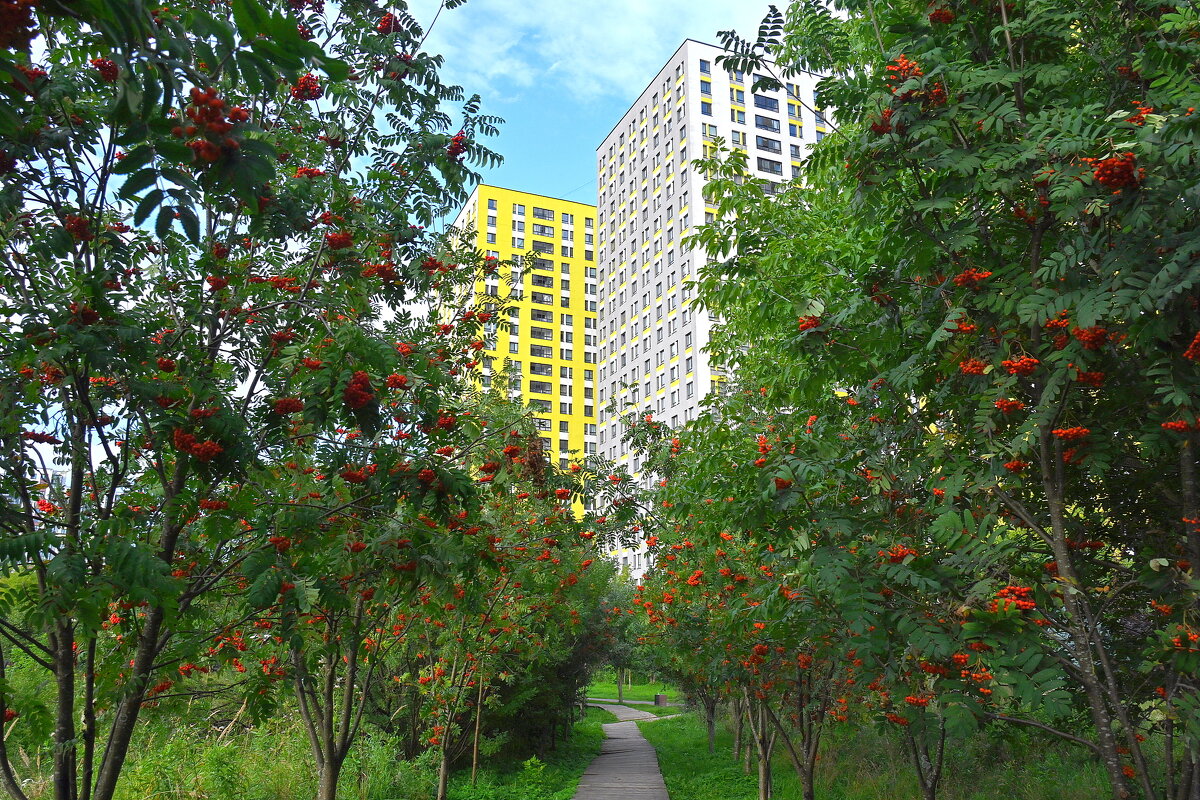 Эко-тропа из августа в сентябрь - Александр Орлов Эко-тропа из августа в сентябрь - Александр Орлов