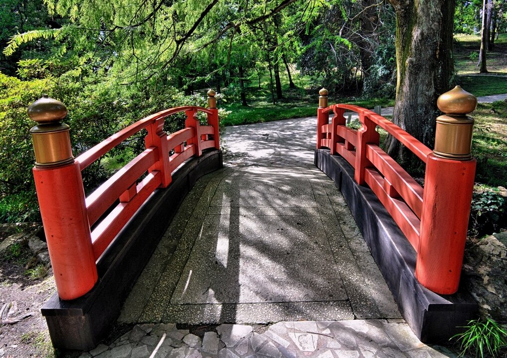 Мостик - Mikhail Irtyshskiy Мостик - Mikhail Irtyshskiy