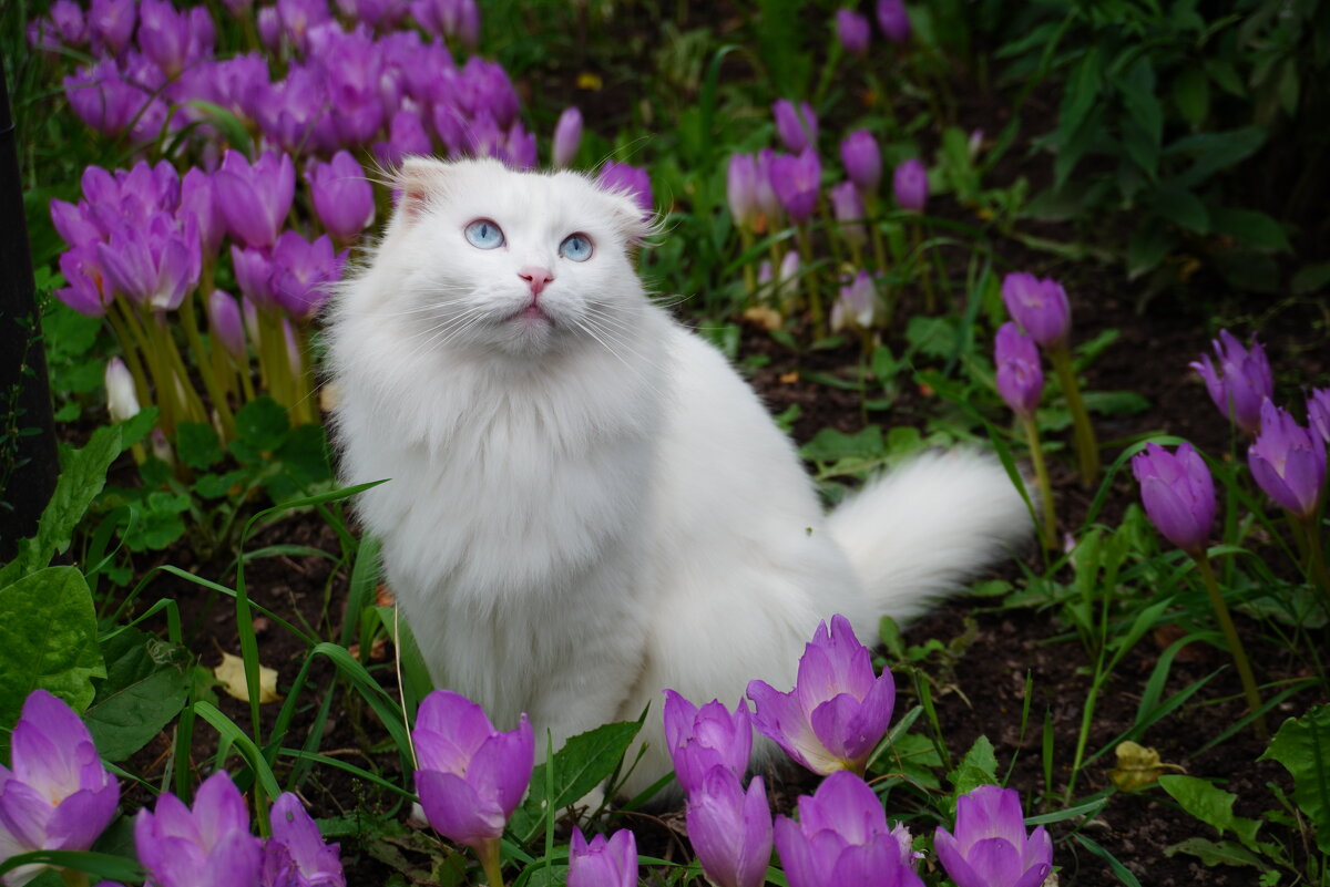 ... - Сергей Ц